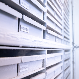 Bevroren genummerde lades gevuld met droogijs
